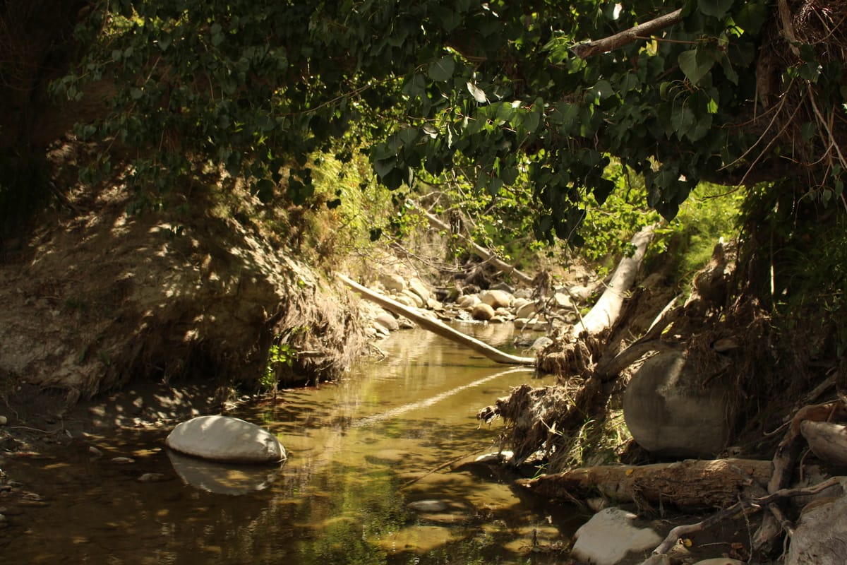 A small stream with clear water surrounded by rocks and fallen trees.